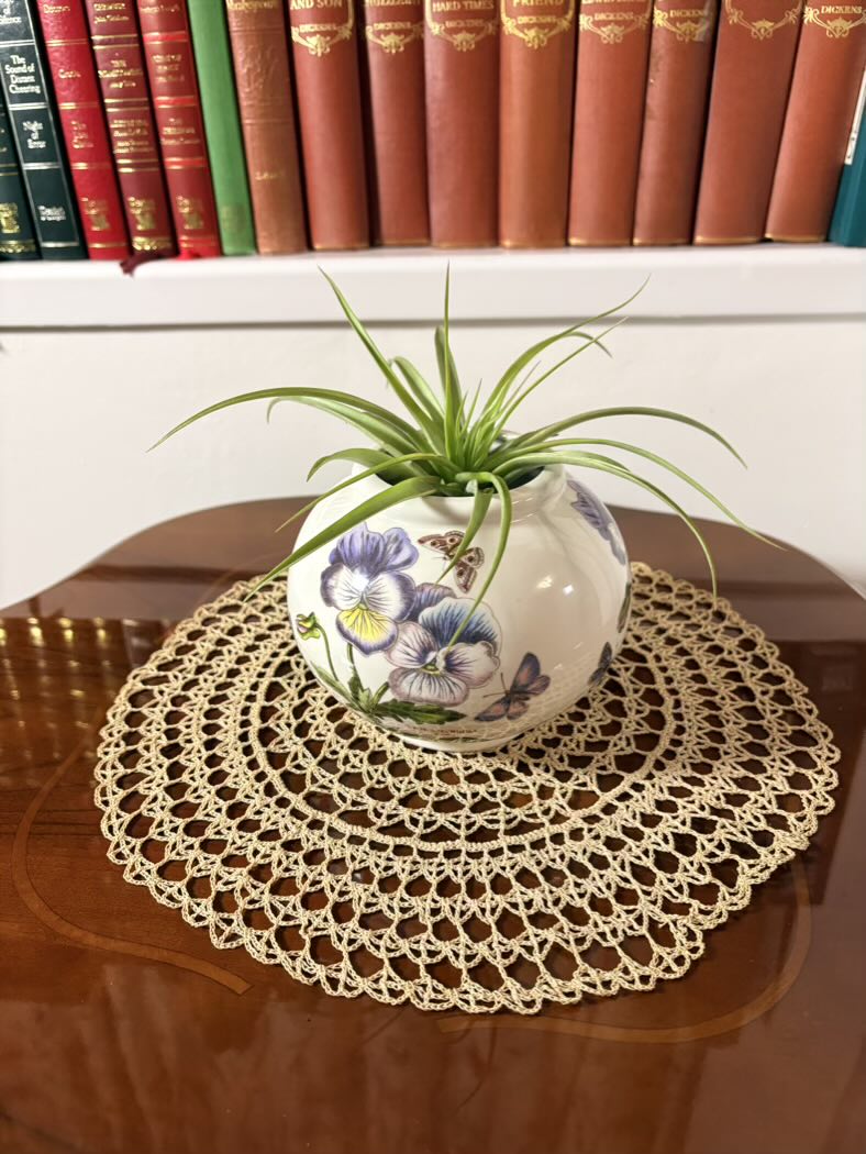 Vase with a plant on a doily on a wooden surface with books in the background