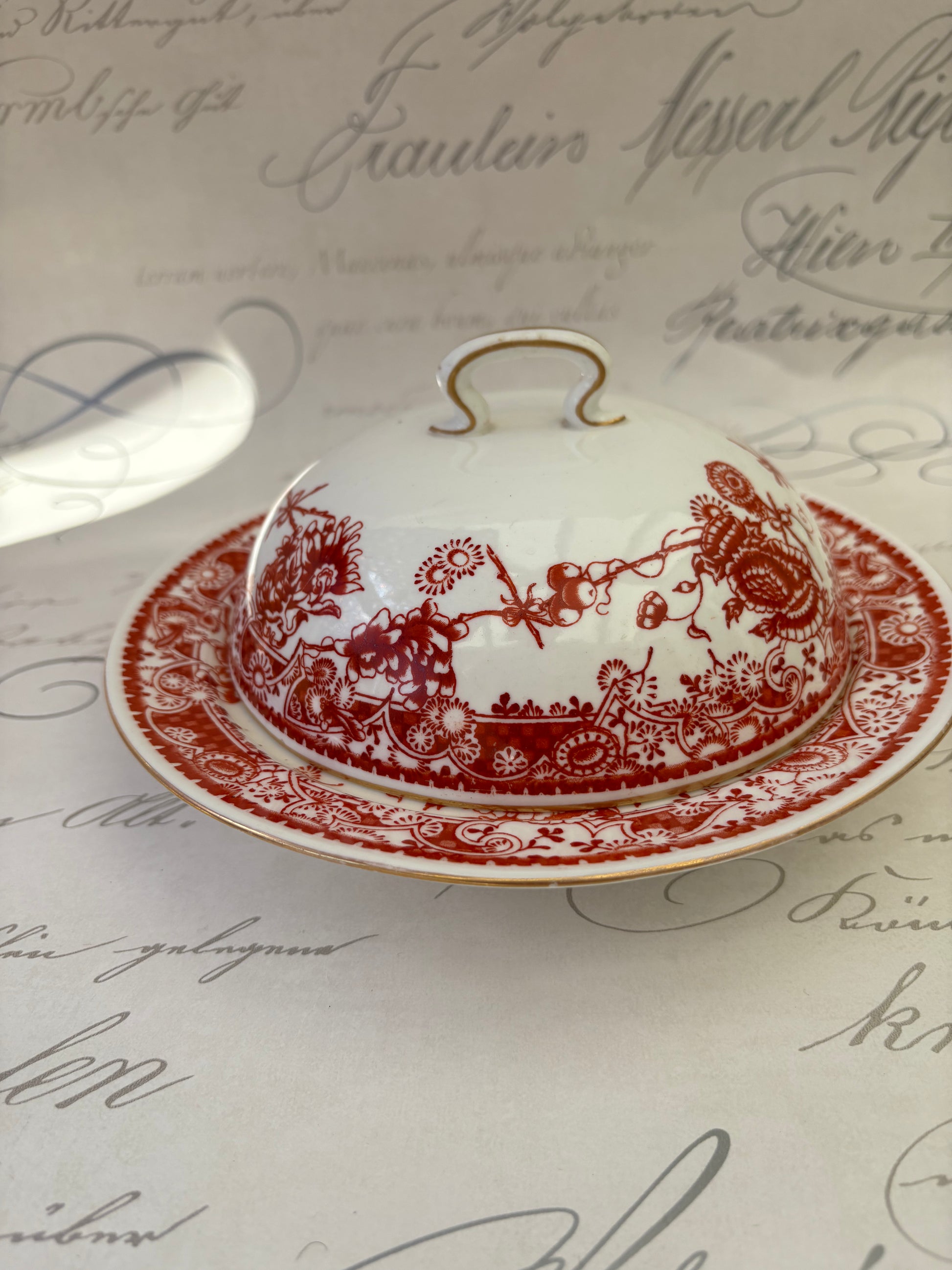Red Butter Dish From Royal Crown Derby 4