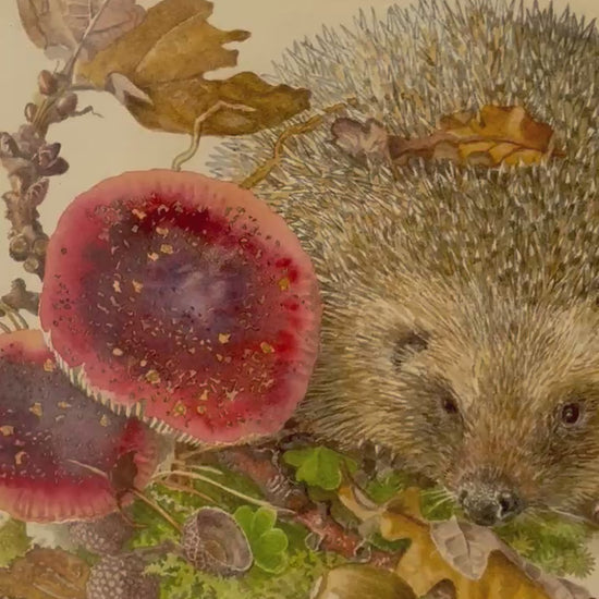 Painting of a hedgehog among autumn leaves and berries in a woodland setting