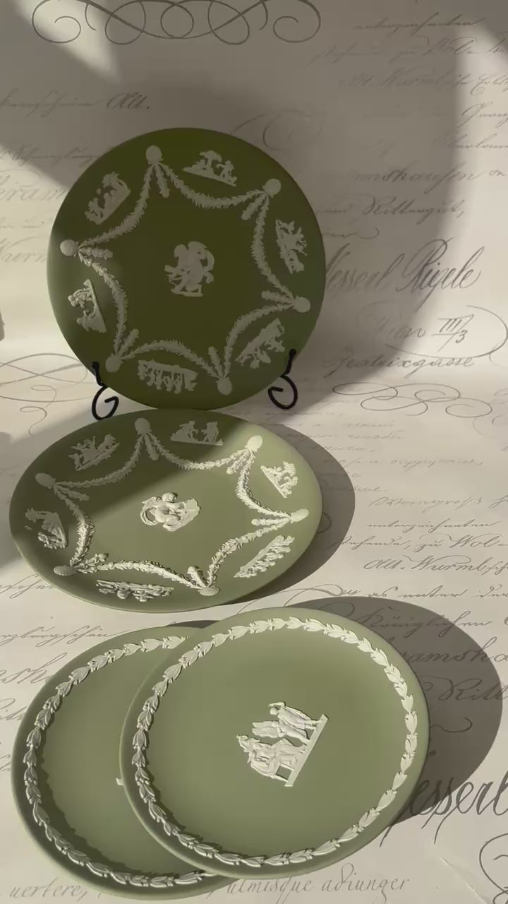 Video with the plates