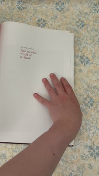 Video with the Vintage Reader’s Digest wildlife book featuring animals of Southern Africa with rich photography and detailed nature descriptions