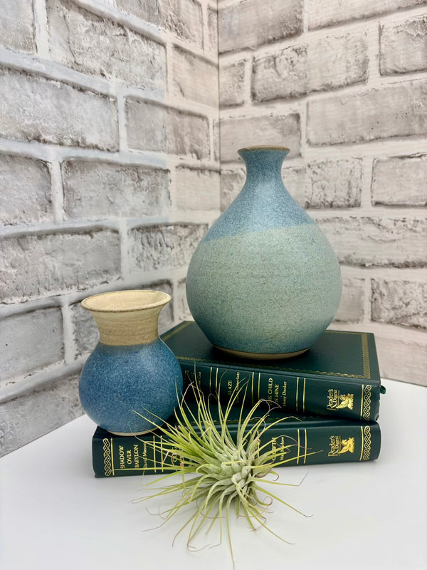 Two blue ceramic vases on green books with a plant against a brick wall.